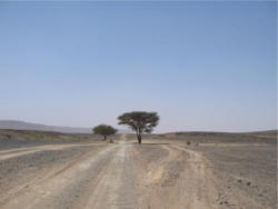 Letzte Kilometer Pistenstrassen vor Merzouga