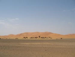 Sanddünen bei Merzouga (erg chebbi)