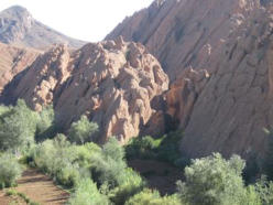 Die Affenfinger-Felsen bei Ait Youl