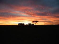 Sonnenaufgang über dem Camp