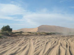 viele alte Spuren um den erg Chebbi